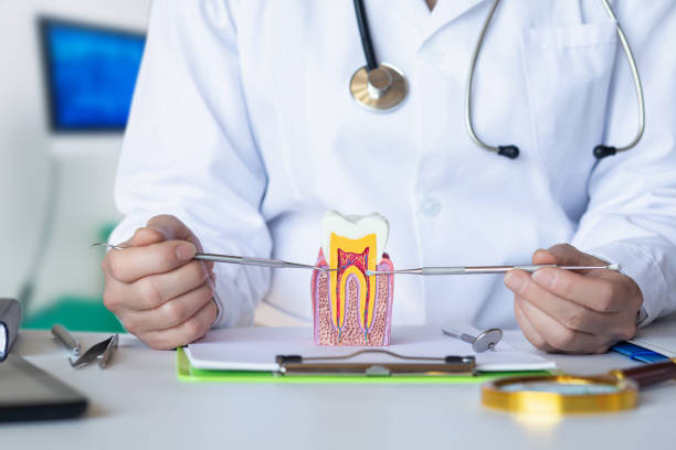 Best Emergency TMJ Treatment in Caoncito, NM
